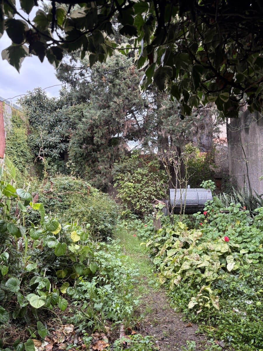 Casa a reciclar de 225 m2 - Bahía Blanca 479 — foto 3