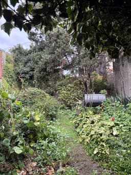 Terreno de 225 m2 totales con Casa - Bahía Blanca 279