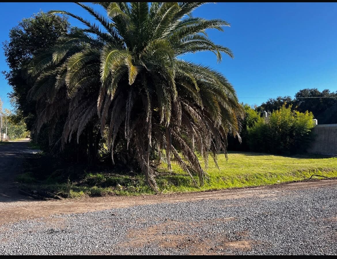 Lote en Barrio Las Margaritas — foto 1