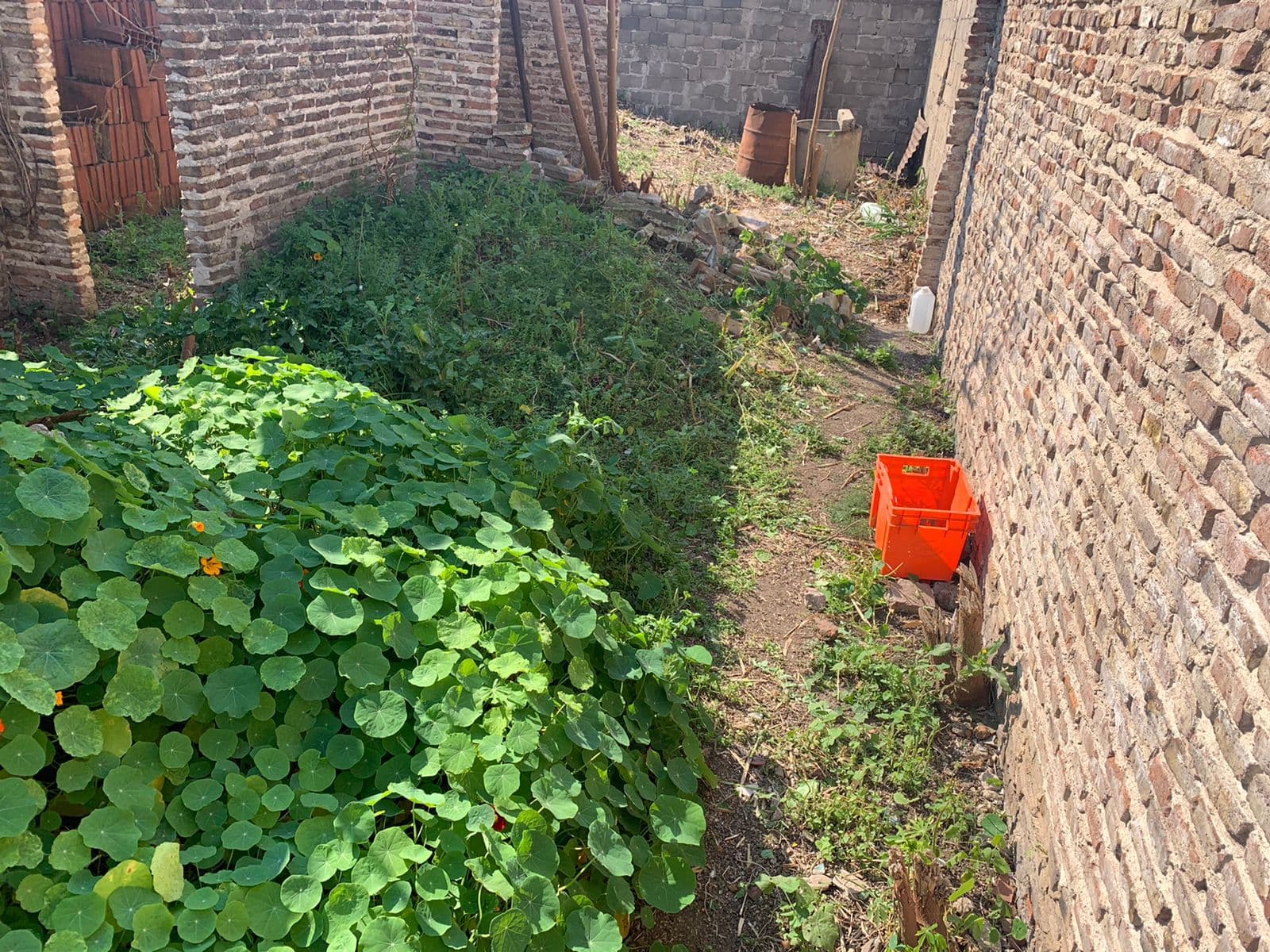 Venta terreno interno — foto 6