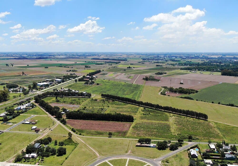 ECOLAGOS - Lote — foto 6