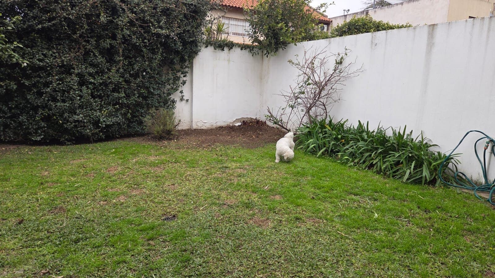 Alquiler Duplex Jardines del Jockey — foto 7