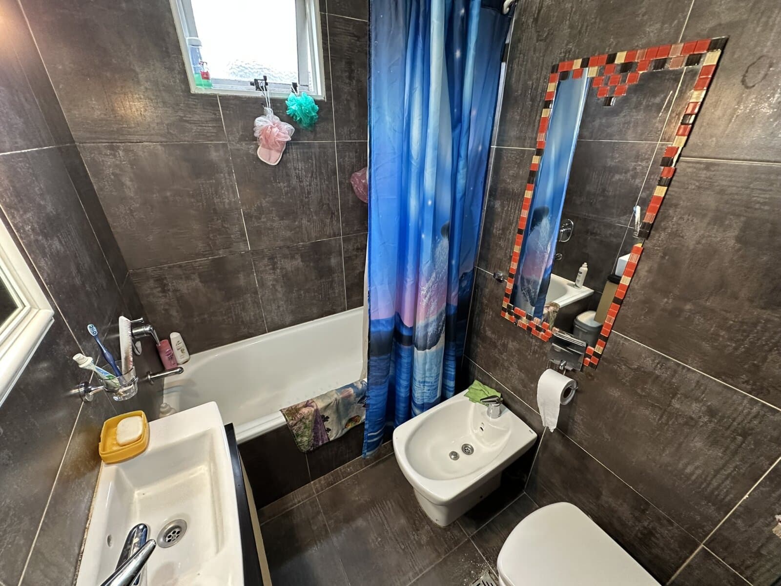 CASA AMERICANA CON FONDO LIBRE — foto 15
