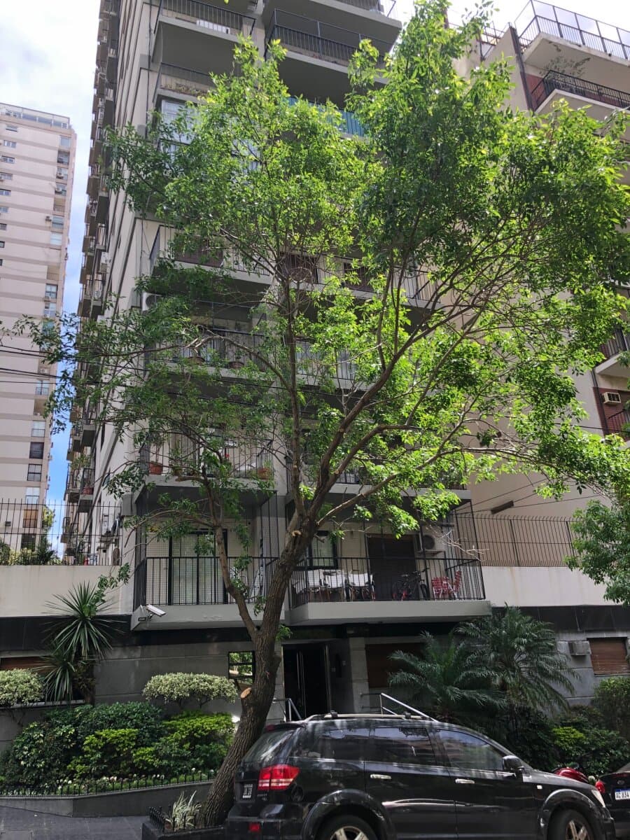 2 ambientes balcón vista abierta — foto 15