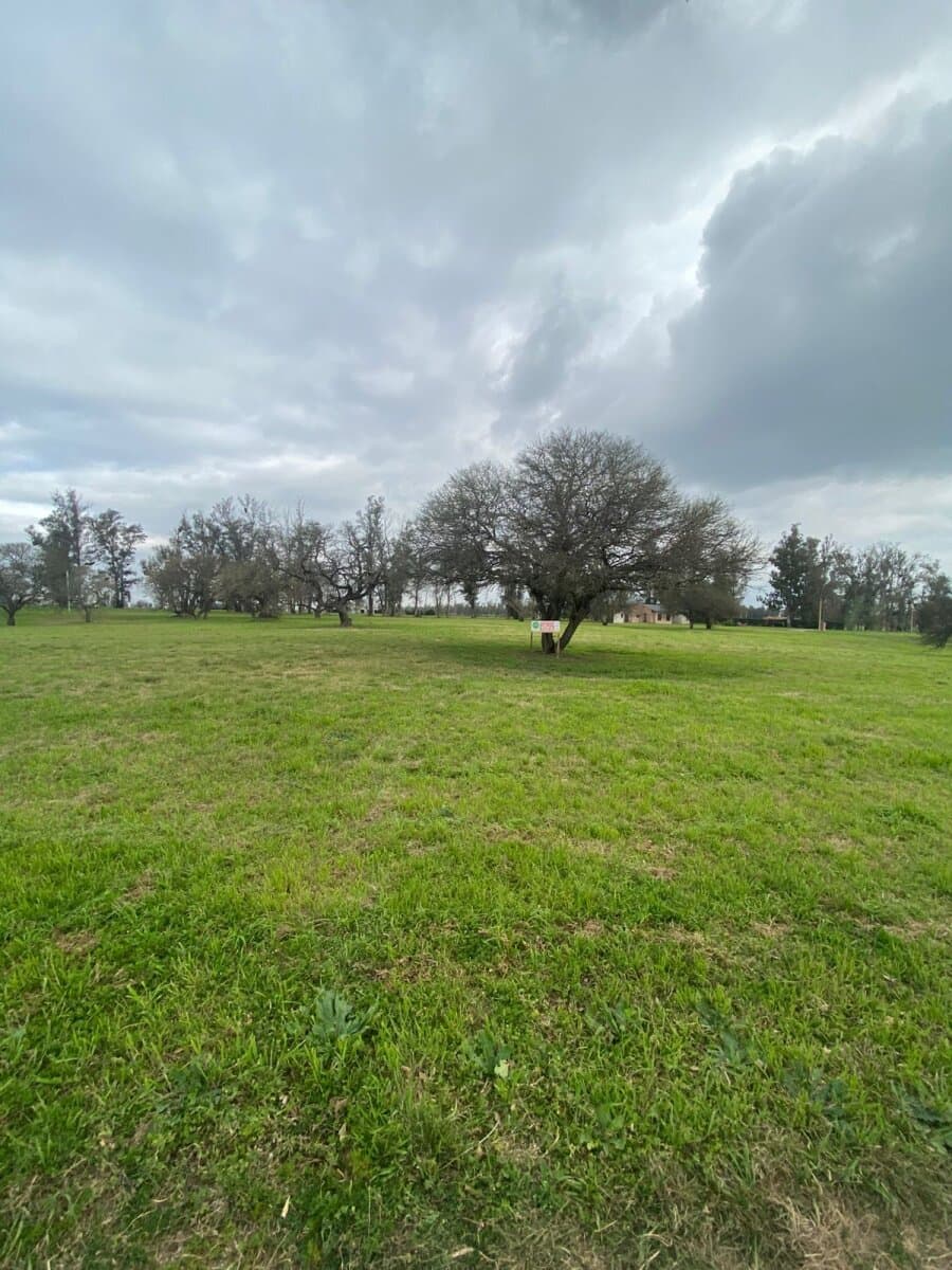 Lote en barrio Chacras Del Rincón — foto 2