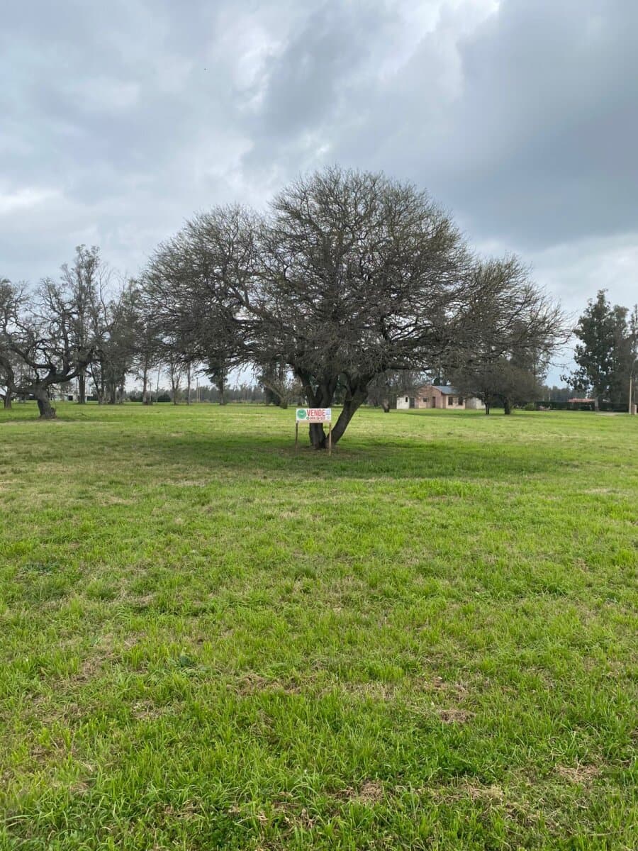 Lote en barrio Chacras Del Rincón — foto 11