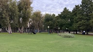 Miniatura 9