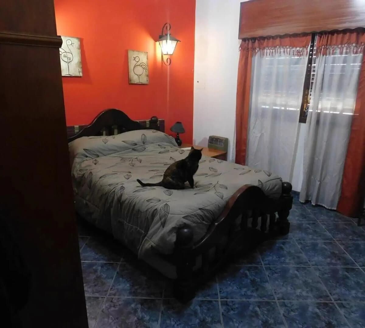 Casa En Esquina Con Local Con Baño — foto 11