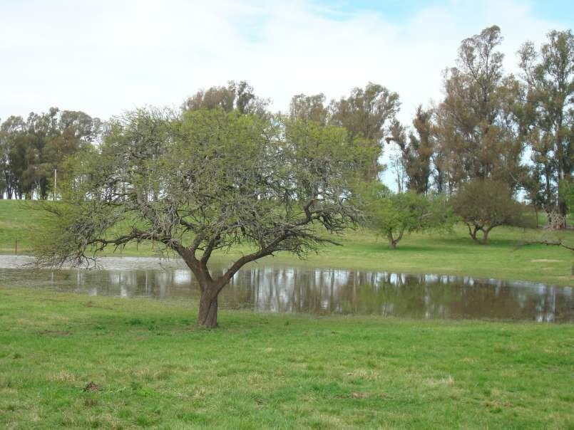 Terreno en Venta - Chacras del Rincón — foto 9