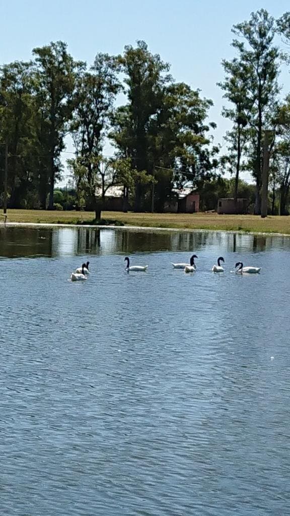 Terreno en Venta - Chacras del Rincón