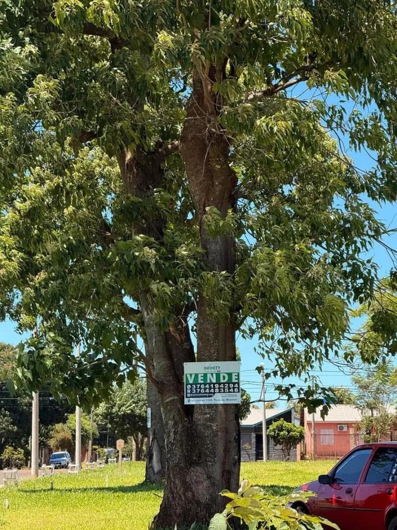 Terrenos Financiados en Itambé Miní Posadas Misiones — foto 10