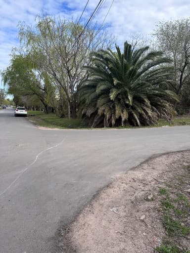 Miniatura 9