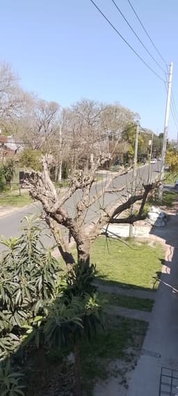 ALQUILER DPTO EN PH 2 AMBIENTES-BELLA VISTA, SAN MIGUEL