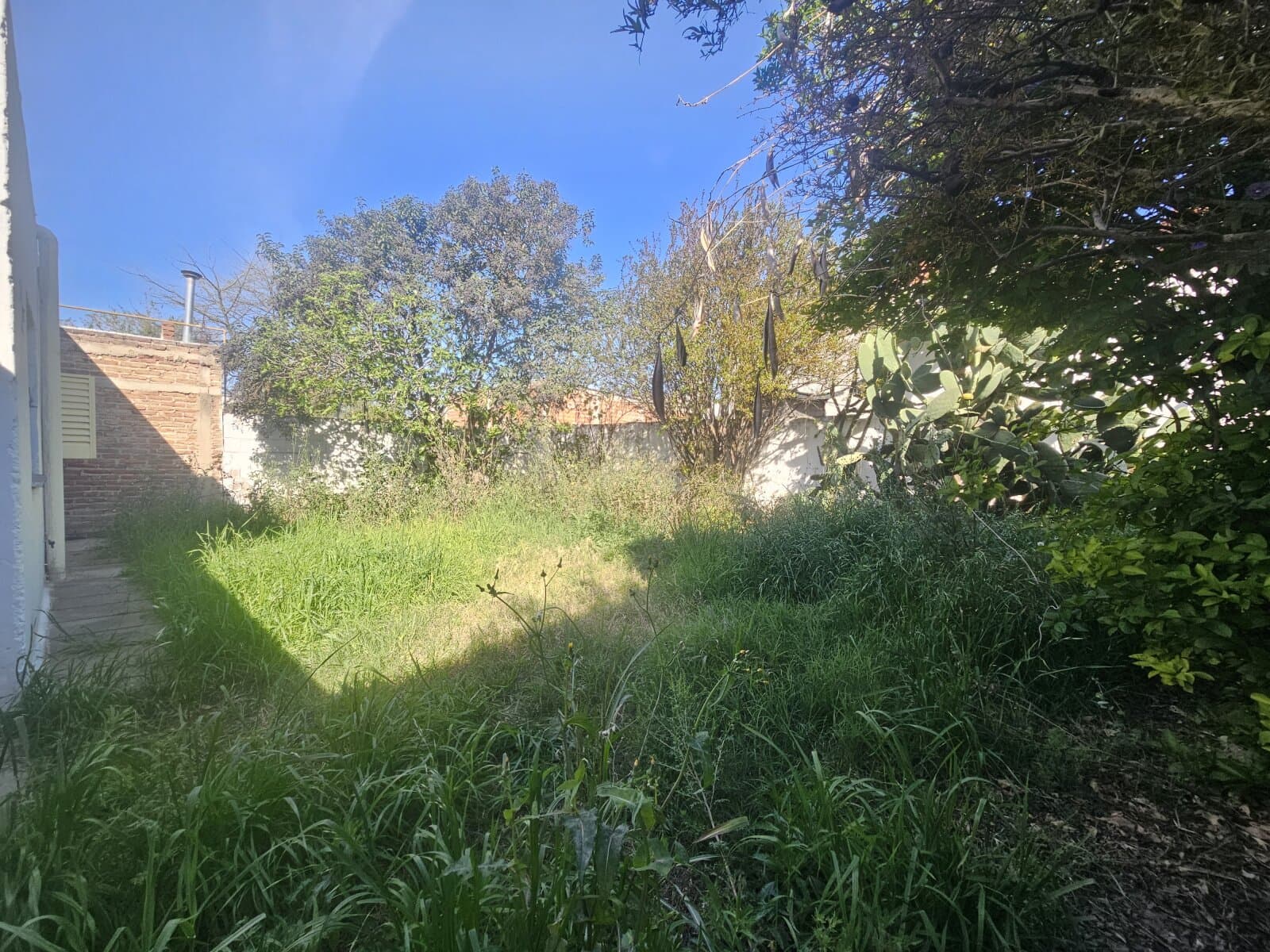 Dos casas al precio de una — foto 11