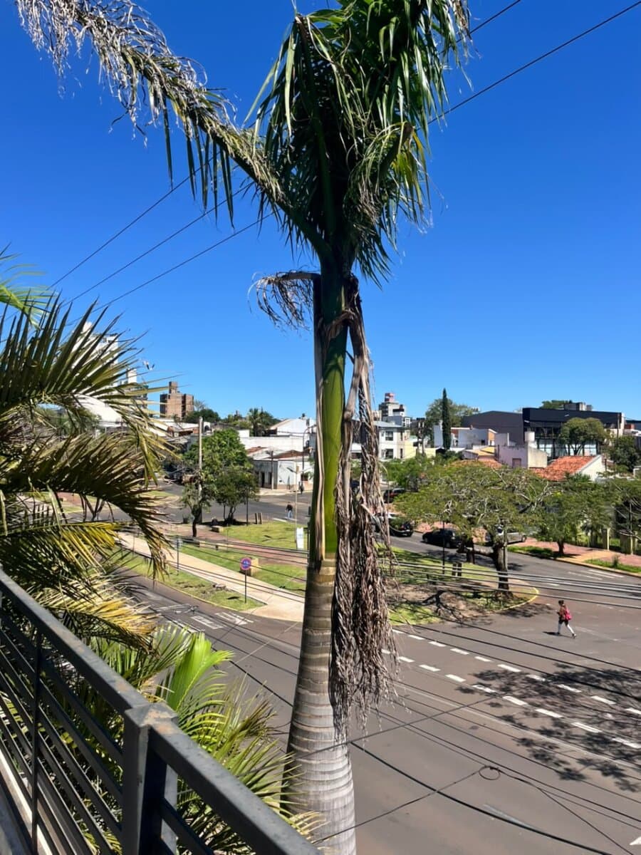Dúplex Venta Posadas Centro — foto 11