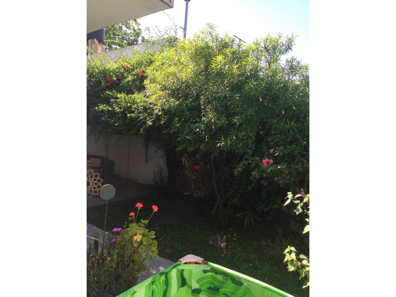 Casa de dos dormitorios — foto 14