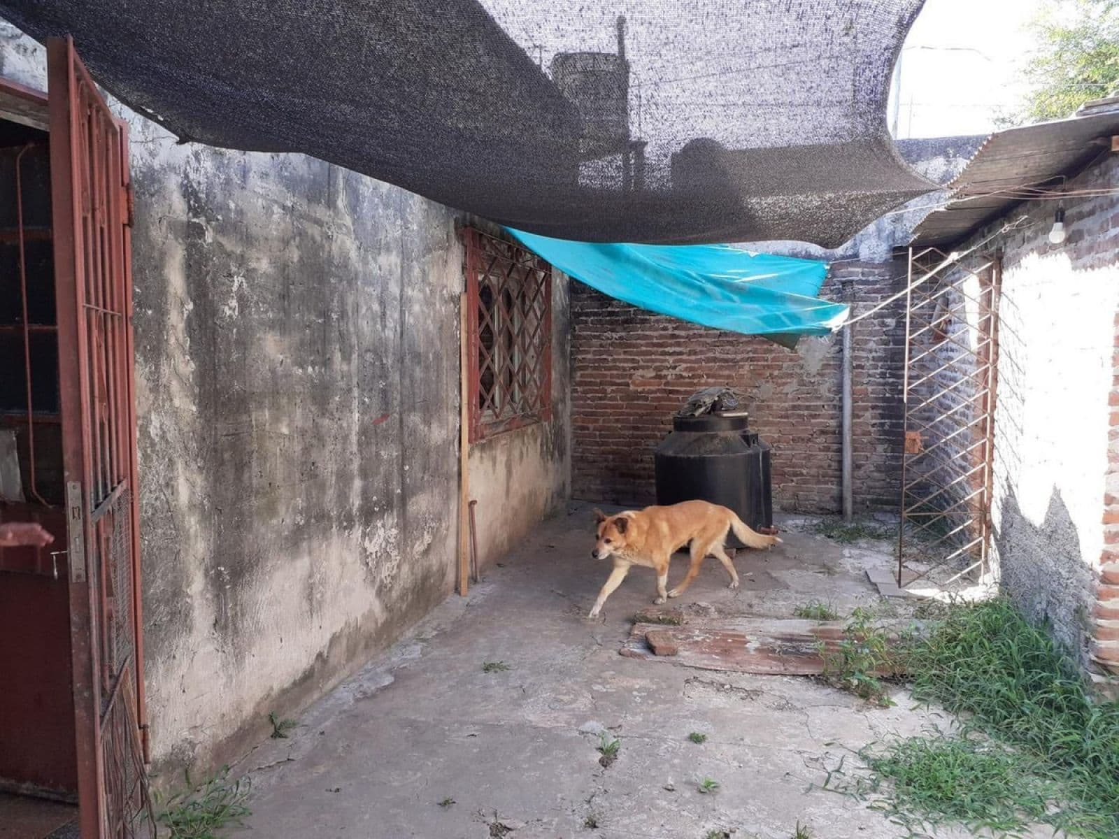 Venta Casa En Gonzalez Catan — foto 4