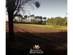 Solares de Rancagua OPORTUNIDAD UNICA DE INVERSION Lotes exclusivos