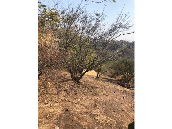 Lotes en  cinco lomas — foto 3
