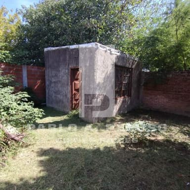 Miniatura 10
