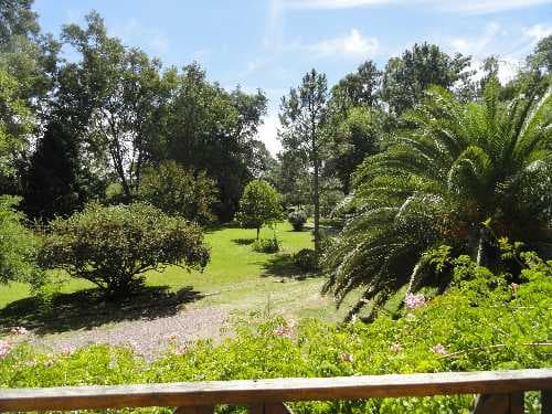 chacra-venta - -INMOBILIARIA----8018 — foto 9