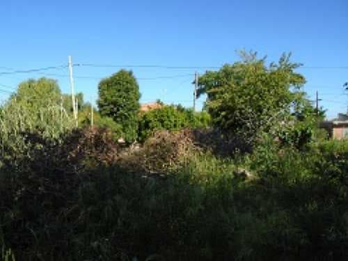 casa-venta - -INMOBILIARIA CATTONI----485 — foto 4