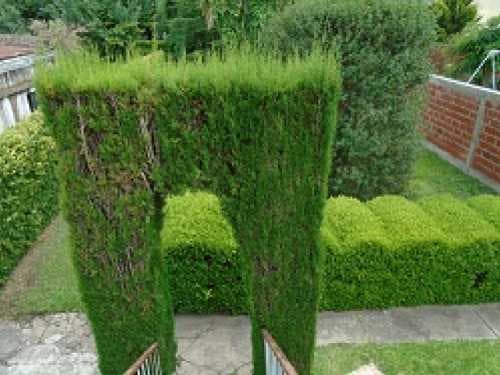 casa-venta - -INMOBILIARIA CATTONI----492 — foto 5