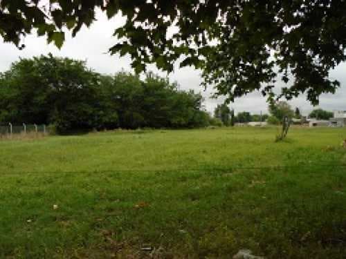 terreno-venta - -INMOBILIARIA CATTONI----493 — foto 3