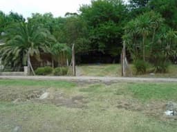 terreno-venta - -INMOBILIARIA CATTONI----494