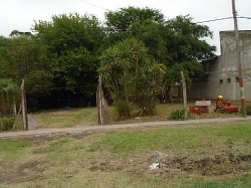 terreno-venta - -INMOBILIARIA CATTONI----494 — foto 2
