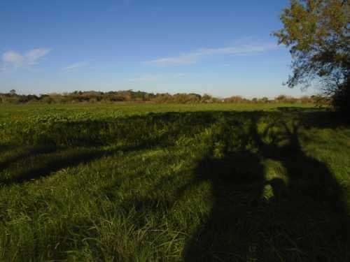 campo-venta - -INMOBILIARIA CATTONI----503 — foto 1