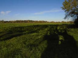 campo-venta - -INMOBILIARIA CATTONI----503
