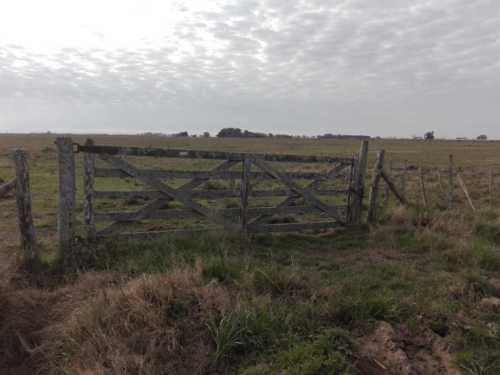 campo-venta - -INMOBILIARIA CATTONI----527 — foto 4