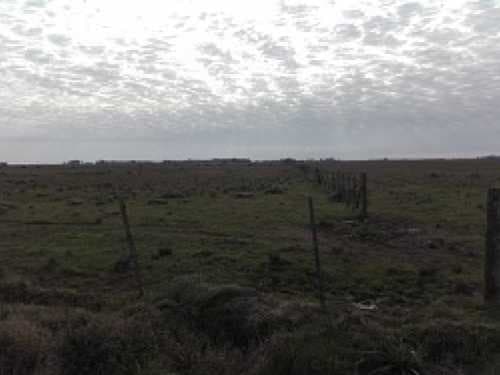 campo-venta - -INMOBILIARIA CATTONI----527 — foto 8