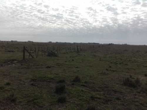 campo-venta - -INMOBILIARIA CATTONI----527 — foto 5
