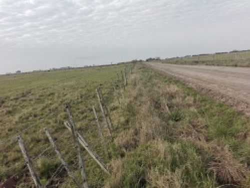 campo-venta - -INMOBILIARIA CATTONI----527 — foto 6