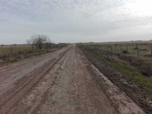 campo-venta - -INMOBILIARIA CATTONI----527 — foto 7