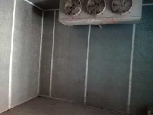 chacra-venta - -INMOBILIARIA CATTONI----531 — foto 2