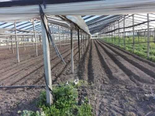 chacra-venta - -INMOBILIARIA CATTONI----531 — foto 6