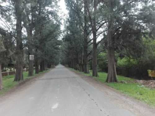 lote-venta - -INMOBILIARIA CATTONI----532 — foto 7