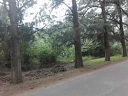 lote-venta - -INMOBILIARIA CATTONI----532