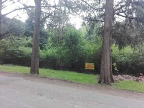 lote-venta - -INMOBILIARIA CATTONI----532 — foto 6