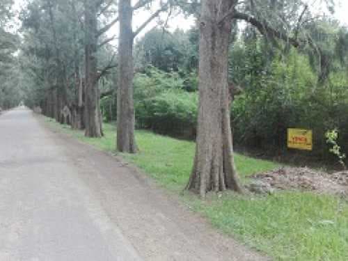 lote-venta - -INMOBILIARIA CATTONI----532 — foto 10