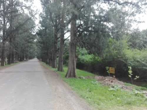 lote-venta - -INMOBILIARIA CATTONI----532 — foto 2