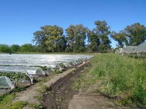 fraccion-venta - -INMOBILIARIA CATTONI----535 — foto 2