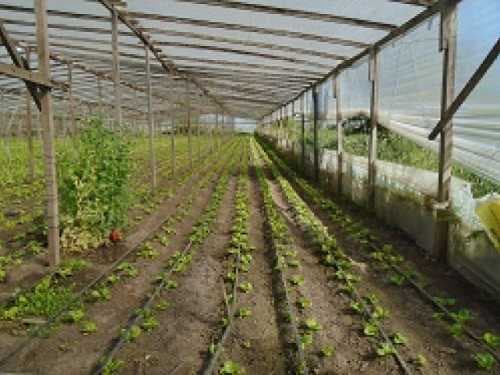 fraccion-venta - -INMOBILIARIA CATTONI----535 — foto 8