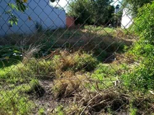 lote-venta - -INMOBILIARIA CATTONI----541 — foto 4