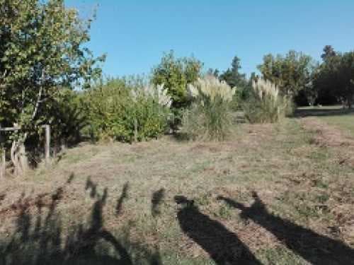 fraccion-venta - -INMOBILIARIA CATTONI----549 — foto 6