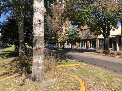 casa-venta - -MERILES PROPIEDADES----1507 — foto 4